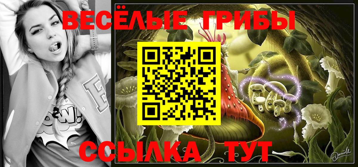 Галлюциногенные грибы прущие грибы Россошь