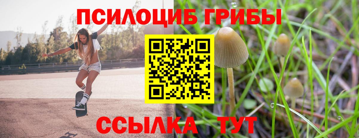 Россошь  где найти наркотики  Вход с VPN  Галлюциногенные грибы Magic Shrooms 